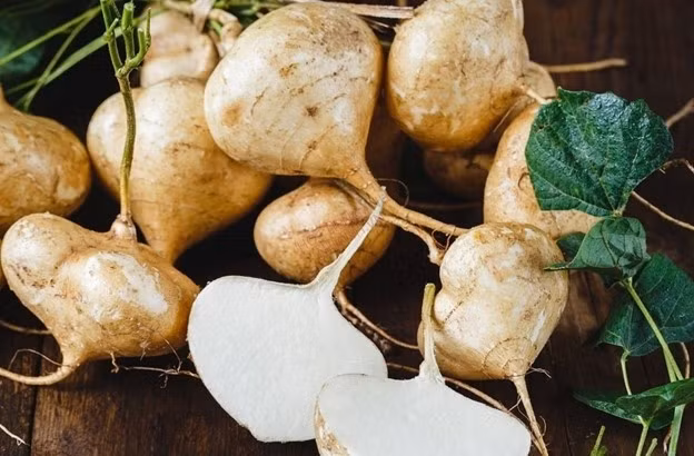 Loai cu re beo ban day cho Viet, duoc vi nhu 