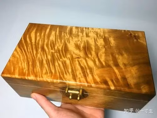 Loai go quy hon vang, nhung tai sao khong ai muon trong?-Hinh-2