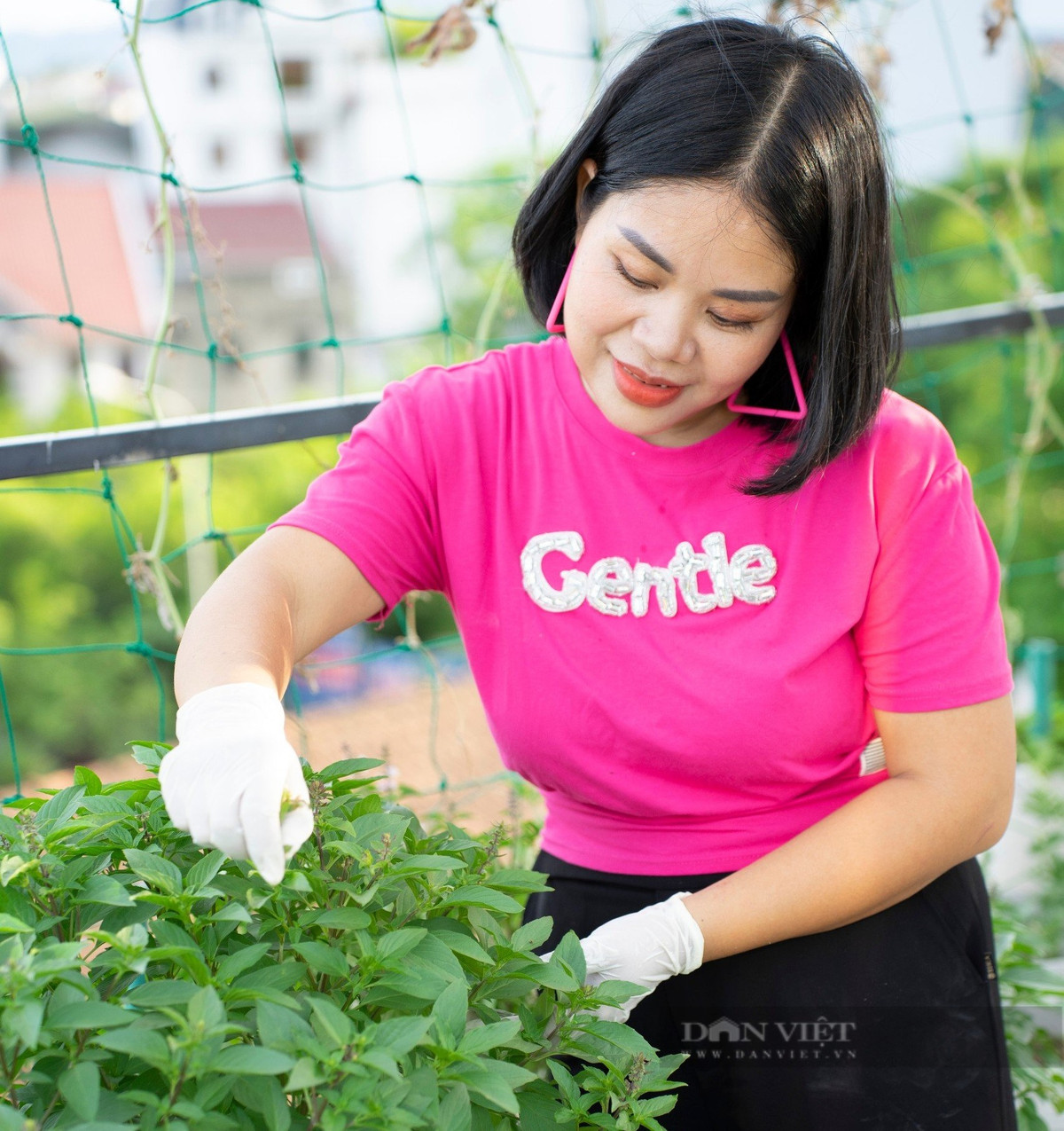 Vuon dua hau hac my nhan o Ha Tinh dep phat hon-Hinh-2