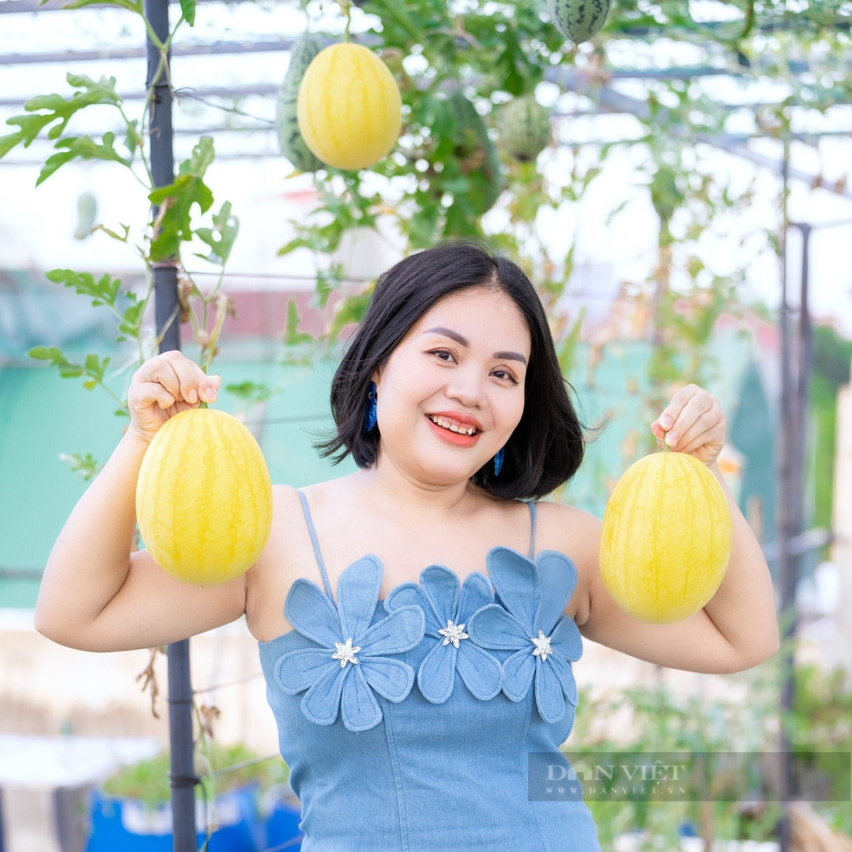 Vuon dua hau hac my nhan o Ha Tinh dep phat hon-Hinh-10