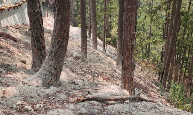 De tuyen deo Prenn xung danh de nhat duong deo o Da Lat-Hinh-6