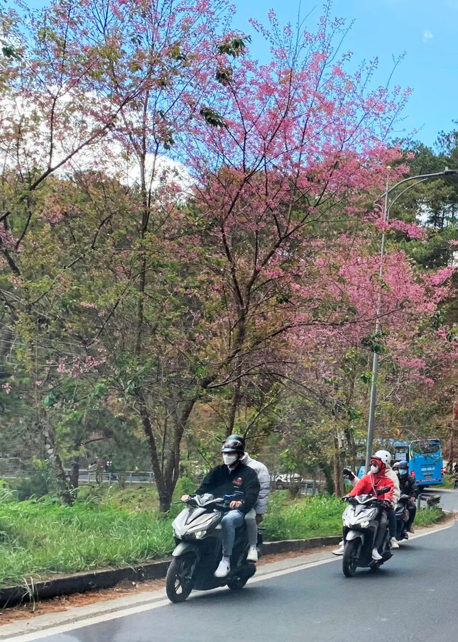 De tuyen deo Prenn xung danh de nhat duong deo o Da Lat-Hinh-4