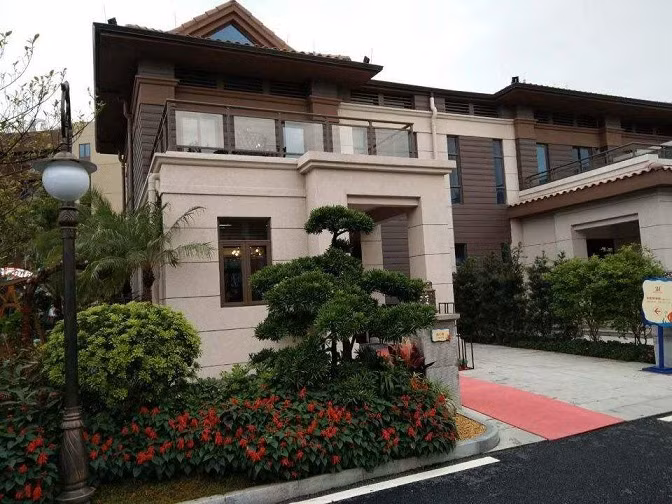 Trong 6 cay canh lai hon mua vang, mang toi phuoc lanh