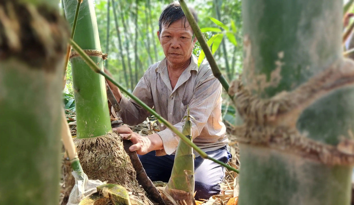 Nguoi dan Can Tho kiem bon tien tu tre Tu Quy rong