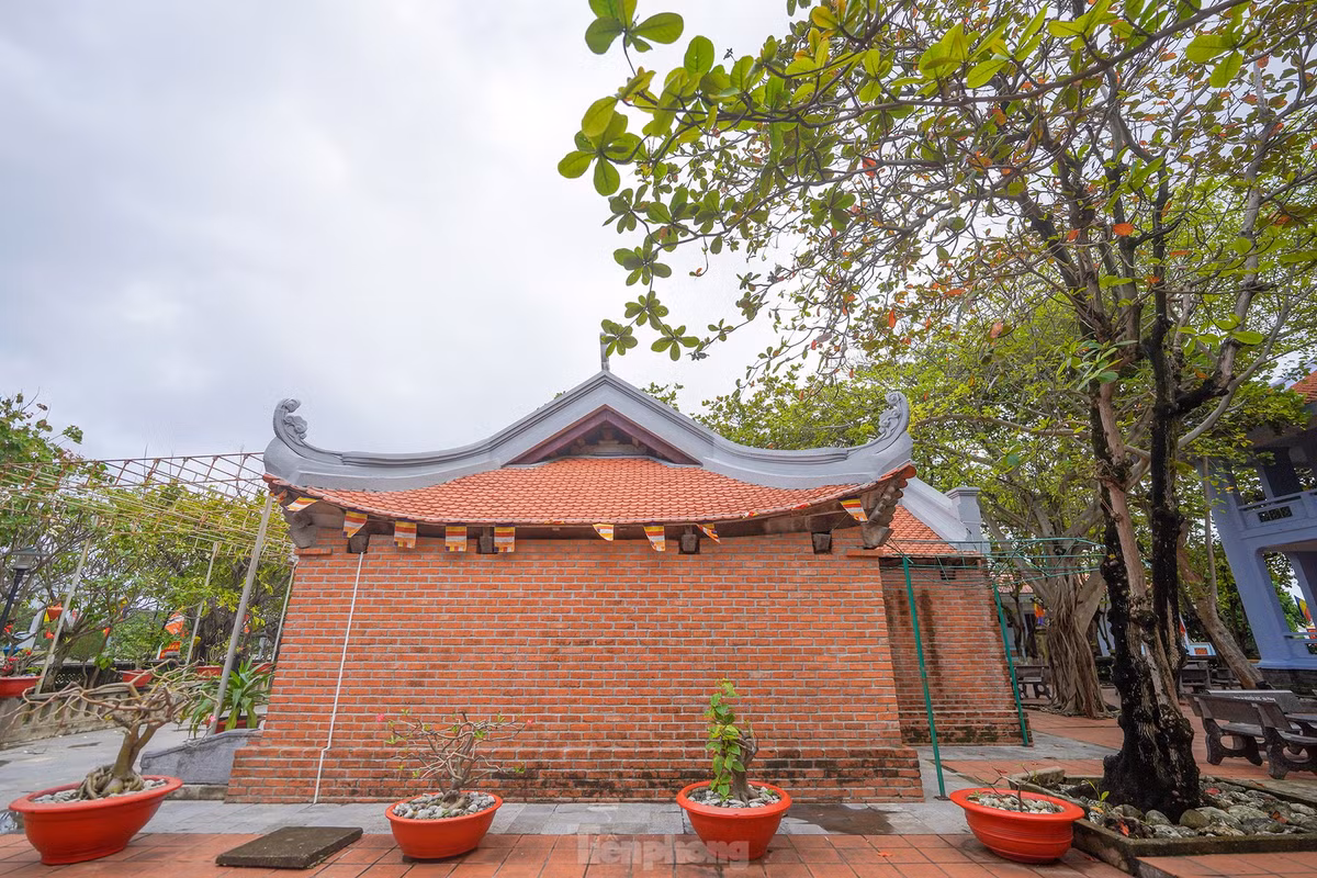 Binh yen chua Truong Sa tren dao thieng-Hinh-3