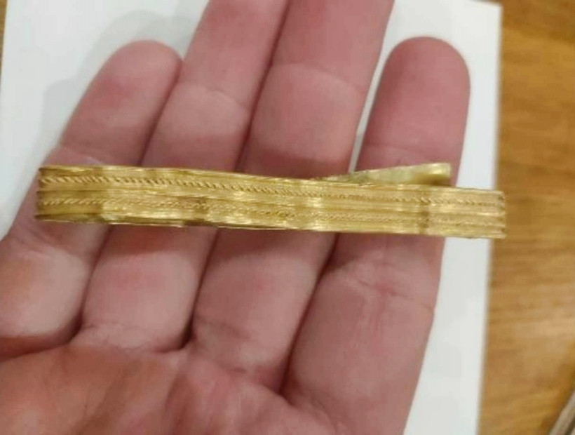 Dắt chó đi dạo, bé trai 12 tuổi tìm được “kho báu” cực quý giá ảnh 1