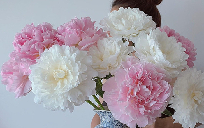  Trong lịch sử, hoa mẫu đơn được tôn vinh là biểu tượng quốc gia vào thời Đường và đã trở thành chủ đề của nhiều tác phẩm thơ ca, với những lời ngợi ca rằng chỉ có mẫu đơn mới là đại diện cho vẻ đẹp chân thực.