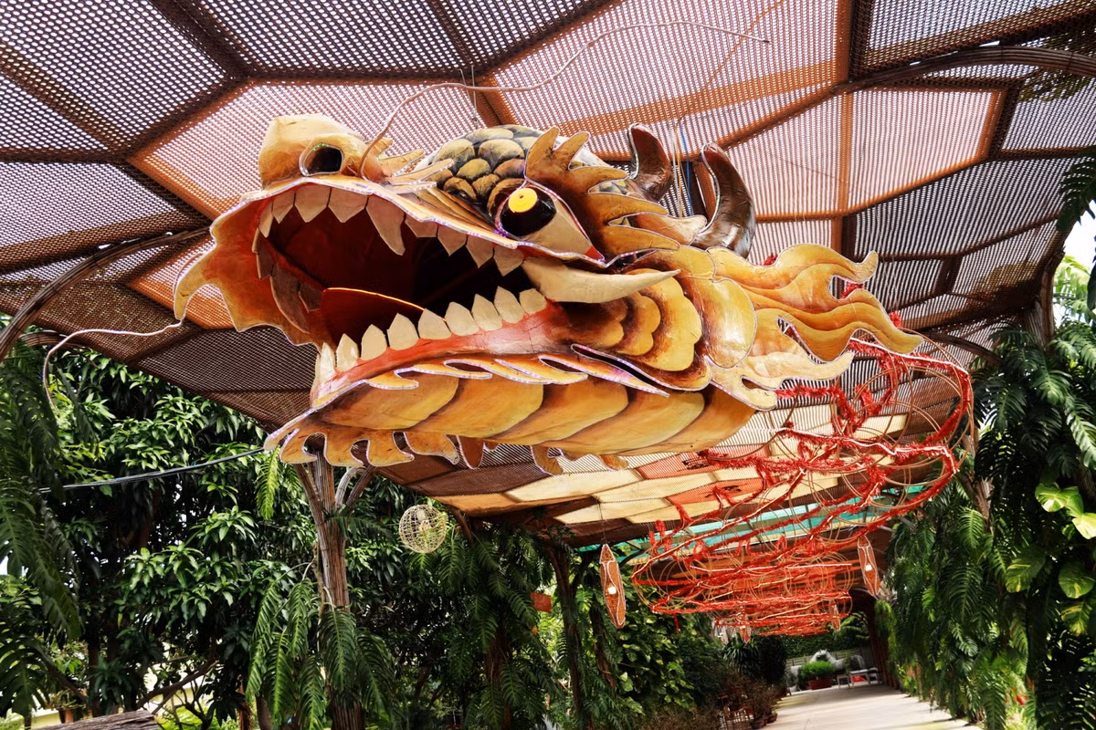 Ngam linh vat rong dai 63 met o Lang nghe Truong Son-Hinh-5