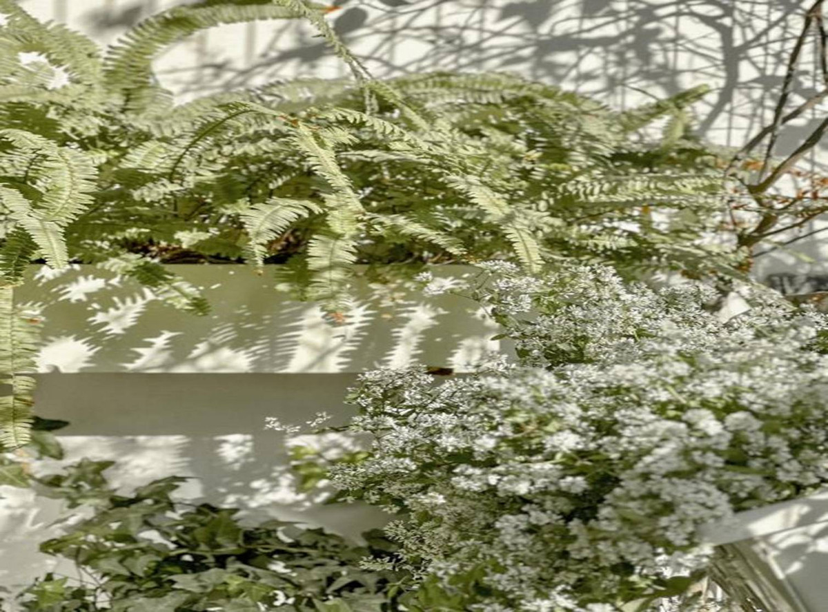 MC Dan Le chia se 5 bi quyet khien can bep trang tinh-Hinh-10