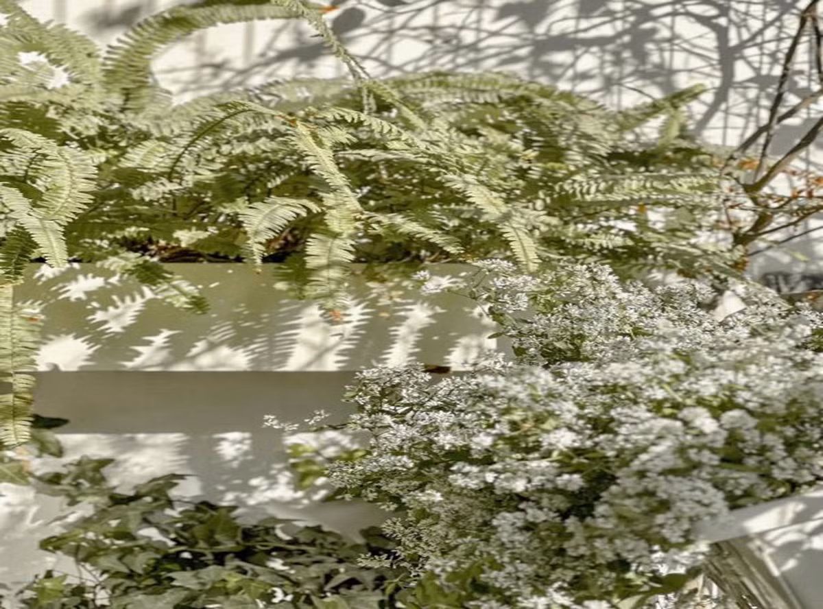 MC Dan Le chia se 5 bi quyet khien can bep trang tinh-Hinh-10