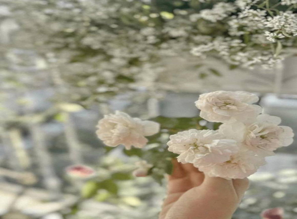 MC Dan Le chia se 5 bi quyet khien can bep trang tinh-Hinh-11