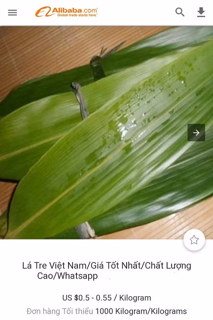 Một loại lá bỏ đi không ai lấy sang nước ngoài thành hàng đắt đỏ - Hình 3 Mot loai la bo di khong ai lay sang nuoc ngoai thanh hang dat do-Hinh-3