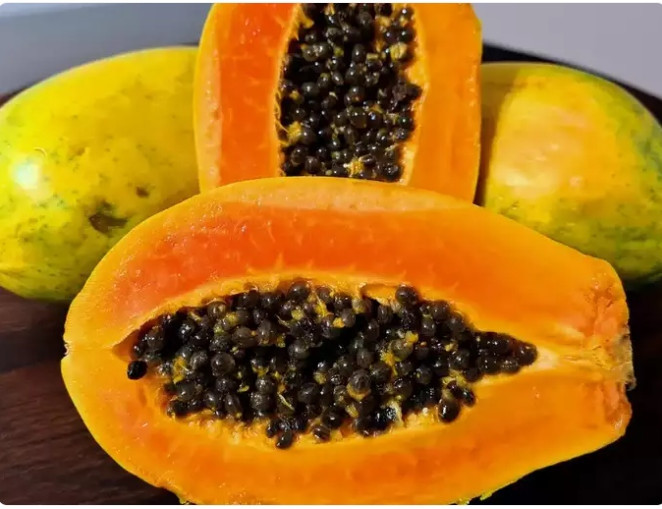 Hat du du qua nhieu loi ich, cho nen vut-Hinh-2