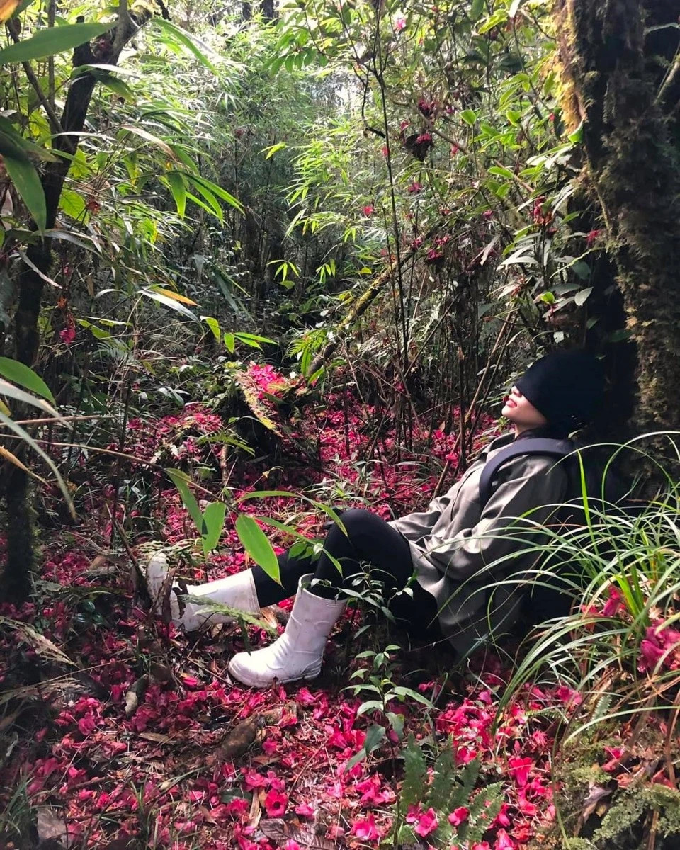 Gioi tre den Lai Chau trekking xuyen rung, an pho nhang thai tay-Hinh-5