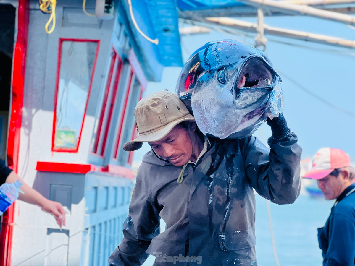 Trong khi đó, tàu của ngư dân Huỳnh Tấn Minh (trú xã Phổ Châu, thị xã Đức Phổ) chỉ là số ít tàu cá của ngư dân Quảng Ngãi xuyên Tết đánh bắt hiệu quả, thu về lợi nhuận lớn. Ảnh: Nguyễn Ngọc