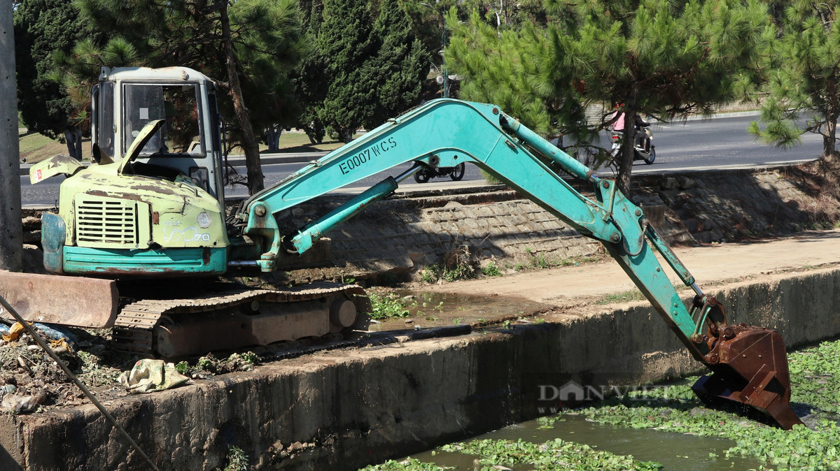 Các công nhân sử dụng máy múc để múc lượng lớn cá chết và bèo tại hồ lắng số 2 để xử lý tình trạng hôi thối tại khu vực này. Tuy nhiên, lượng cá chết khá nhiều, việc dùng máy không thể thực hiện được 100%, vì vậy tình trạng hôi thối vẫn rất nặng, chưa thể khắc phục.