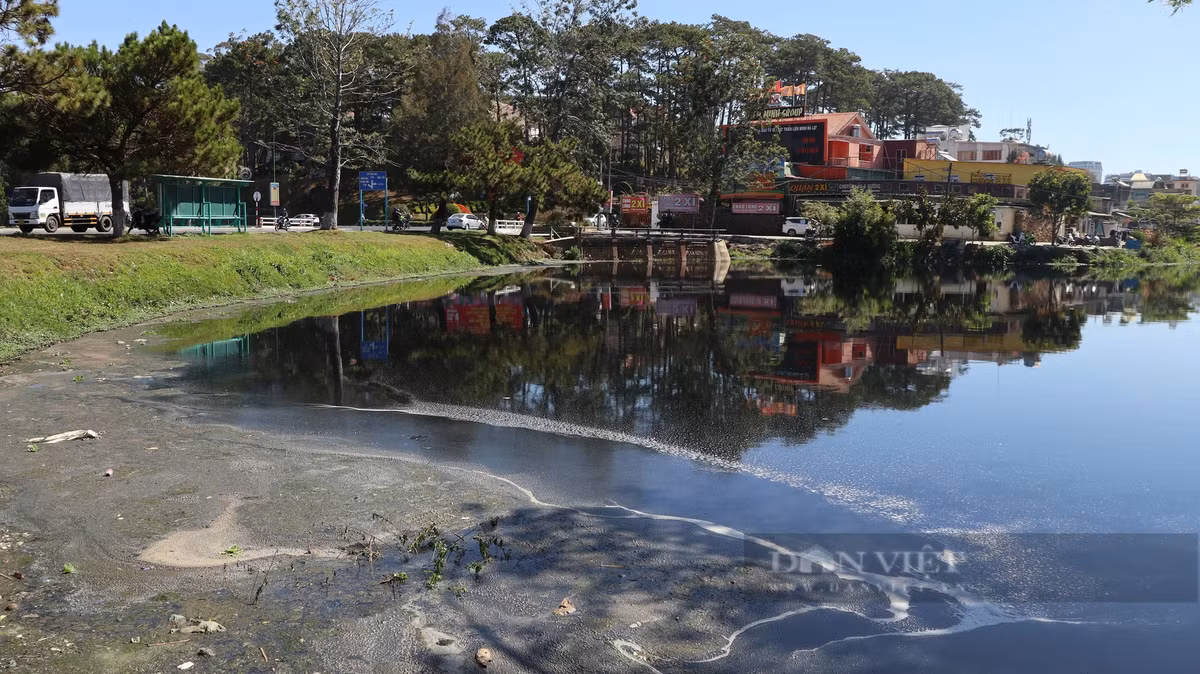 Trong khi đó, tình trạng ô nhiễm tại hồ lắng số 3 (gần Công viên Yersin) thì tình trạng ô nhiễm cũng rất ngiêm trọng. Nước thải từ nhiều hướng đổ về hồ lắng này sau đó cũng trực tiếp chảy vào hồ Xuân Hương. Nước tại hồ lắng số 3 đen sì nổi bọt và bốc mùi hôi thối rất khó chịu.