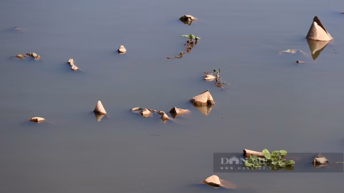 Nhiều bao bì nilon, túi rác từ thượng nguồn đổ về các hồ lắng trong nhiều năm qua nhưng chưa được xử lý dứt điểm.