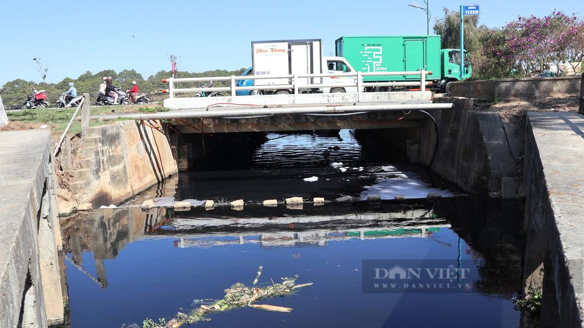 Dòng nước đen sì đổ vào hồ Xuân Hương, bốc mùi hôi thối khó chịu. Ông Phạm Thành (60 tuổi, phường 3, TP.Đà Lạt) cho biết, hàng ngày ông thường xuyên đi tập thể dục qua khu vực này, mùi hôi thối bốc lên tại hồ lắng số 3 khi trời nắng rất kinh khủng. Theo ông Thành để giải quyết tình trạng này, chính quyền cần xử lý ngay từ đầu nguồn do nước chảy từ nhiều hướng trước khi đến hồ lắng rồi mới vào hồ Xuân Hương. Nếu không xử lý được trong thời gian dài sẽ ảnh hưởng rất lớn đến hình ảnh, mỹ quan của thành phố trong mắt người dân, du khách.