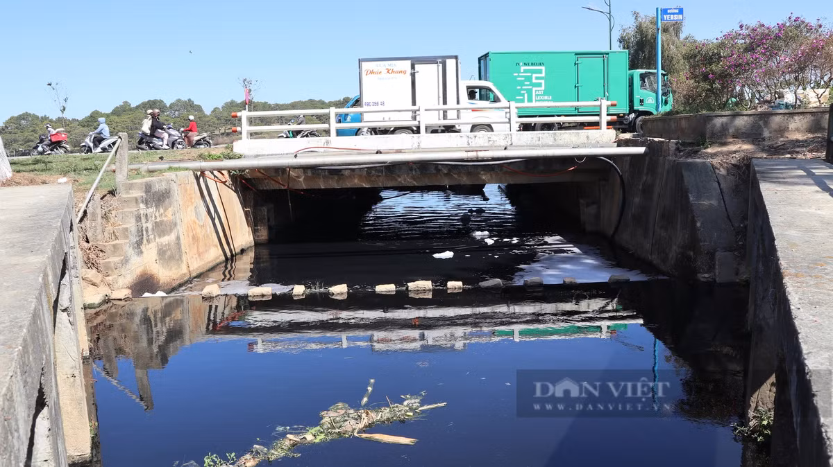 Dòng nước đen sì đổ vào hồ Xuân Hương, bốc mùi hôi thối khó chịu. Ông Phạm Thành (60 tuổi, phường 3, TP.Đà Lạt) cho biết, hàng ngày ông thường xuyên đi tập thể dục qua khu vực này, mùi hôi thối bốc lên tại hồ lắng số 3 khi trời nắng rất kinh khủng. Theo ông Thành để giải quyết tình trạng này, chính quyền cần xử lý ngay từ đầu nguồn do nước chảy từ nhiều hướng trước khi đến hồ lắng rồi mới vào hồ Xuân Hương. Nếu không xử lý được trong thời gian dài sẽ ảnh hưởng rất lớn đến hình ảnh, mỹ quan của thành phố trong mắt người dân, du khách.
