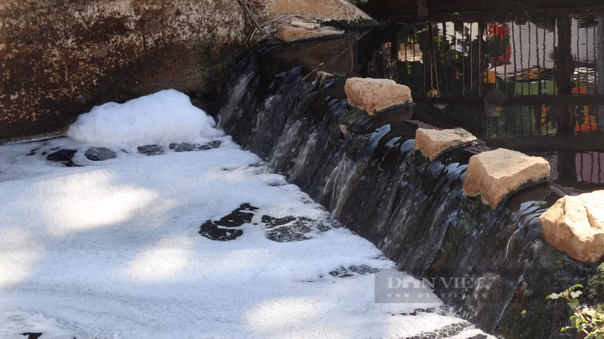 Dòng nước chảy vào hồ Xuân Hương sủi bọt, bốc mùi hôi thối khi chảy vào hồ Xuân Hương.