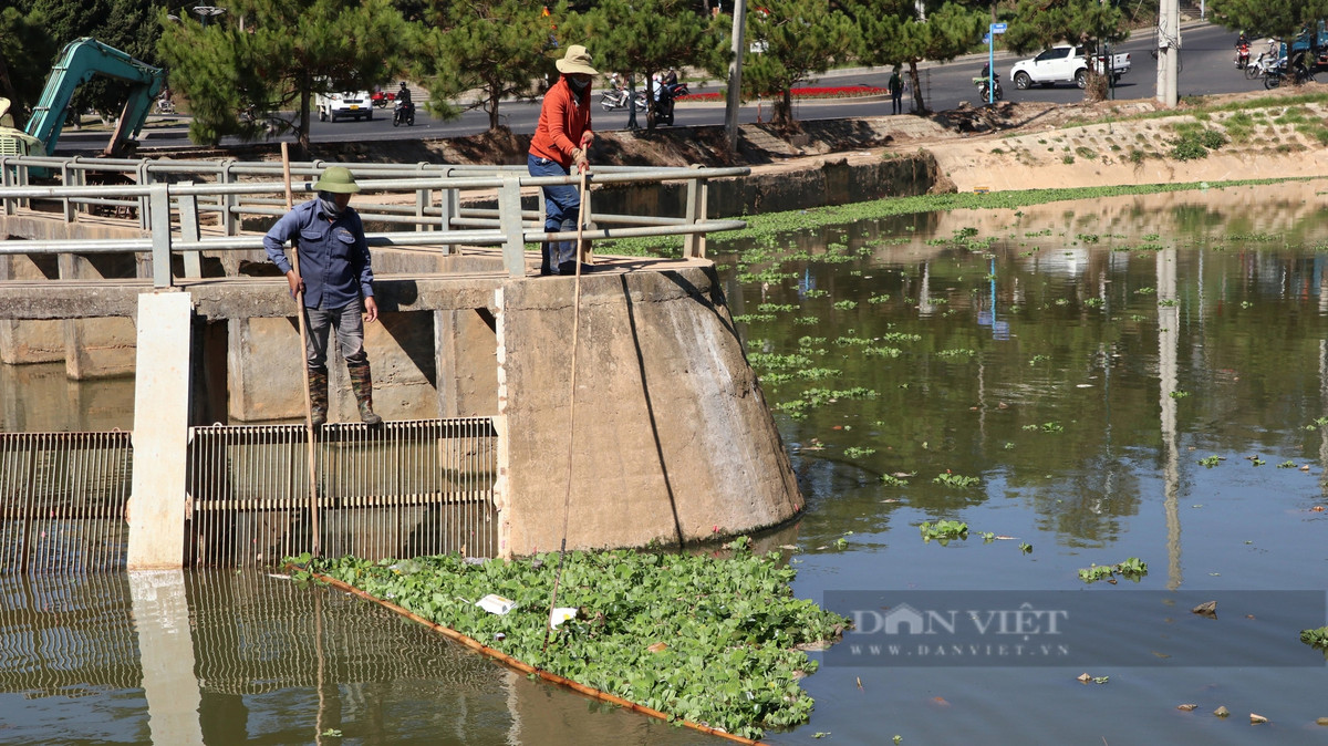 Phóng viên báo điện tử Dân Việt ghi nhận tình trạng ô nhiễm tại 3 hồ lắng nước trước khi chảy vào hồ Xuân Hương Ngày 1/3, thông tin mà Dân Việt có được, UBND tỉnh Lâm Đồng đã yêu cầu UBND TP.Đà Lạt phải xử lý dứt điểm tình trạng ô nhiễm môi trường tại các hồ lắng trước khi chảy vào hồ Xuân Hương. Việc xử lý này sẽ được Sở Tài nguyên và Môi trường theo dõi, đôn đốc kiểm tra việc thực hiện và báo cáo ủy ban tỉnh.