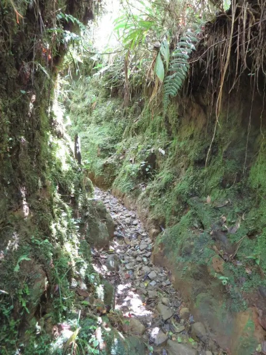 Bí ẩn sự biến mất của Kris Kremers và Lisanne Froon năm 2014 - Hình 6 Bi an su bien mat cua Kris Kremers va Lisanne Froon nam 2014-Hinh-6