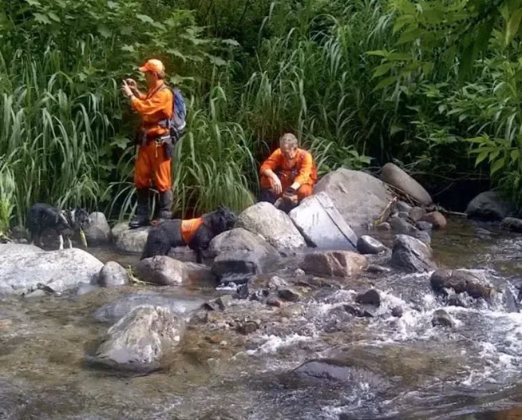 Bi an su bien mat cua Kris Kremers va Lisanne Froon nam 2014-Hinh-7