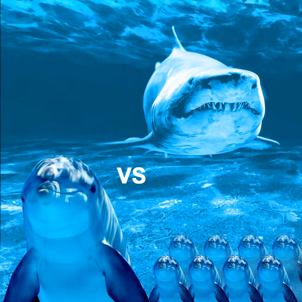 Vi sao ca map lai so ca heo?