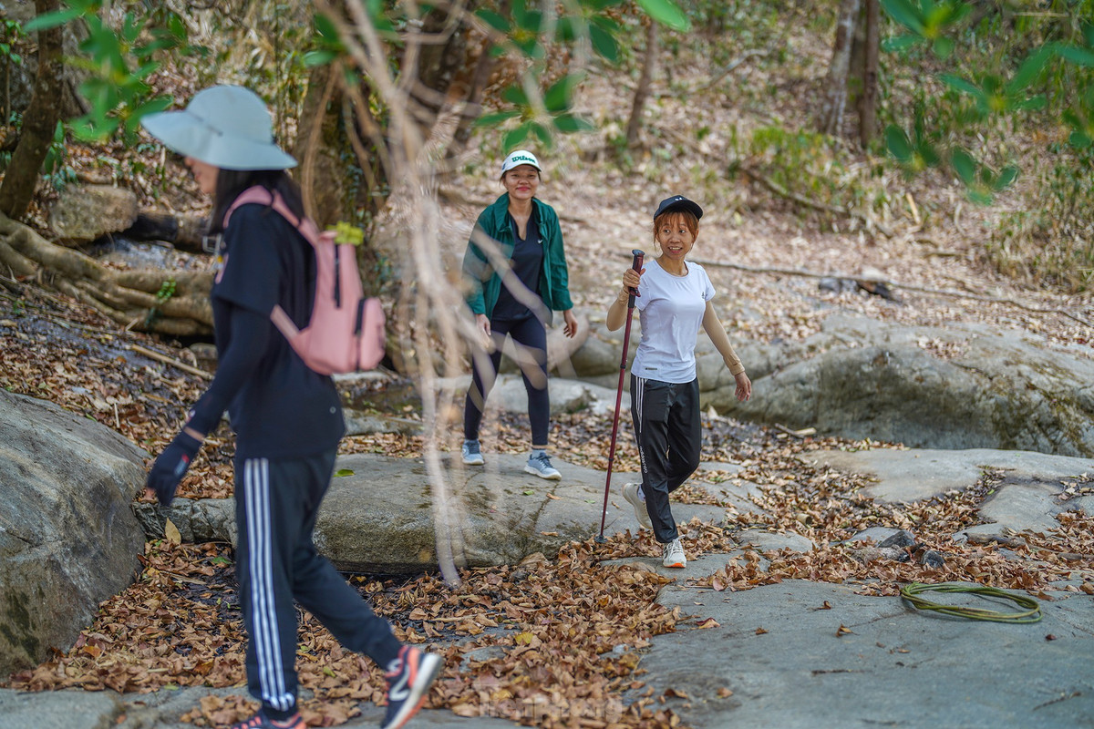Nếu là một người đam mê trekking thì Đa Mi cũng là một địa điểm bạn có thể thử sức. Bạn có thể tham khảo lộ trình xuất phát từ xã Đa Mi, đi bộ khoảng 7 km với những con đường dốc và khá gập ghềnh. Nếu đi từ đảo Du Mục, du khách được đò đưa qua điểm tập kết, đi cung đường khoảng 3km là có thể lên được suối Đá Bàn.