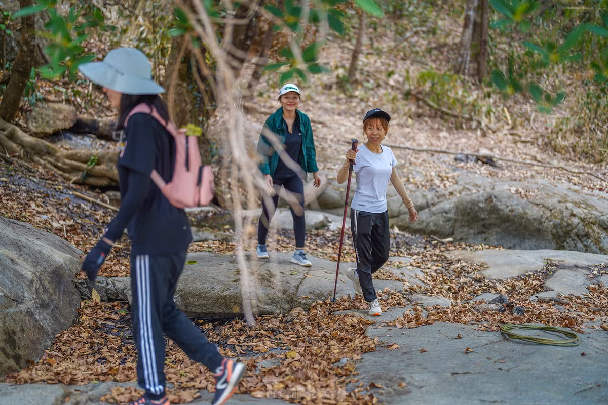 Nếu là một người đam mê trekking thì Đa Mi cũng là một địa điểm bạn có thể thử sức. Bạn có thể tham khảo lộ trình xuất phát từ xã Đa Mi, đi bộ khoảng 7 km với những con đường dốc và khá gập ghềnh. Nếu đi từ đảo Du Mục, du khách được đò đưa qua điểm tập kết, đi cung đường khoảng 3km là có thể lên được suối Đá Bàn.