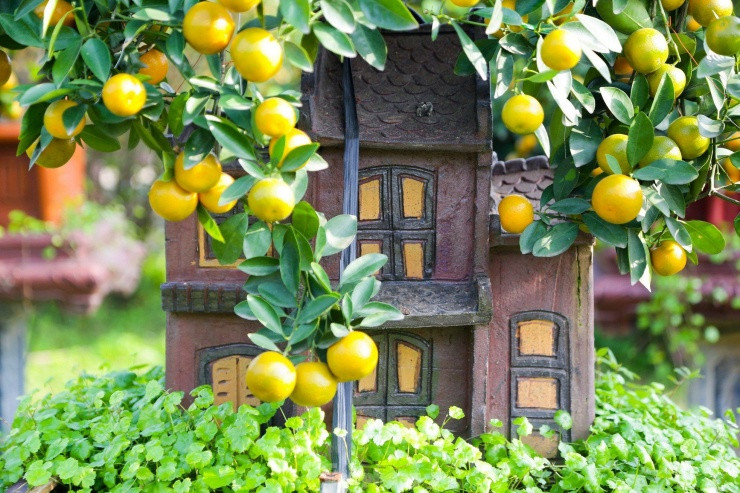 Quat mini doc la, khach san sang bo ca chuc trieu mua ve choi Tet-Hinh-8