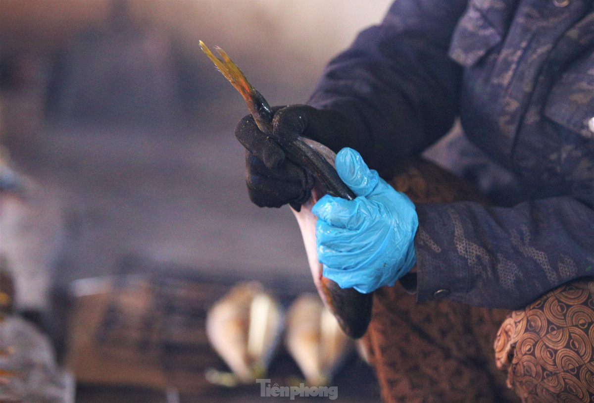 Tat bat lang nuong ca o vung bien Ha Tinh dip giap Tet-Hinh-16