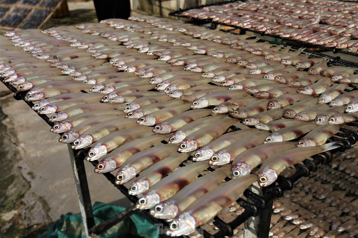 Tat bat lang nuong ca o vung bien Ha Tinh dip giap Tet-Hinh-9