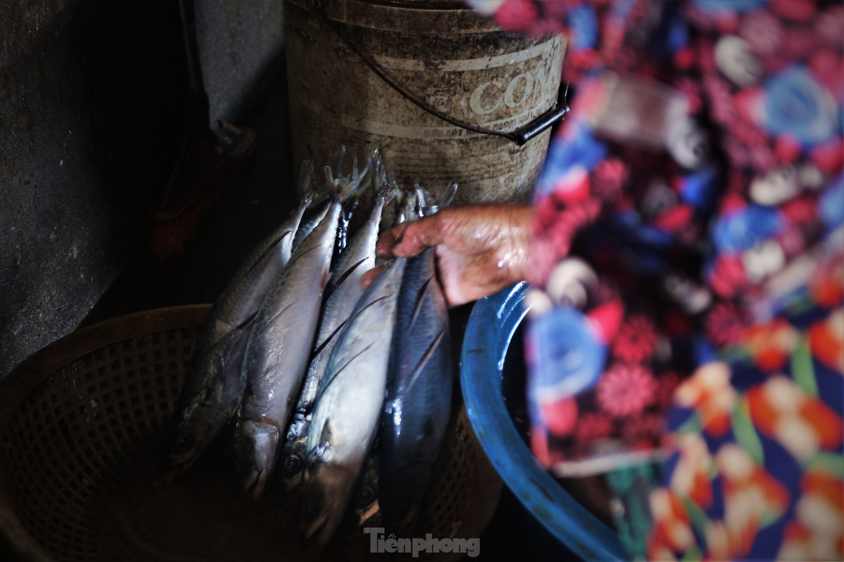 Tat bat lang nuong ca o vung bien Ha Tinh dip giap Tet-Hinh-5