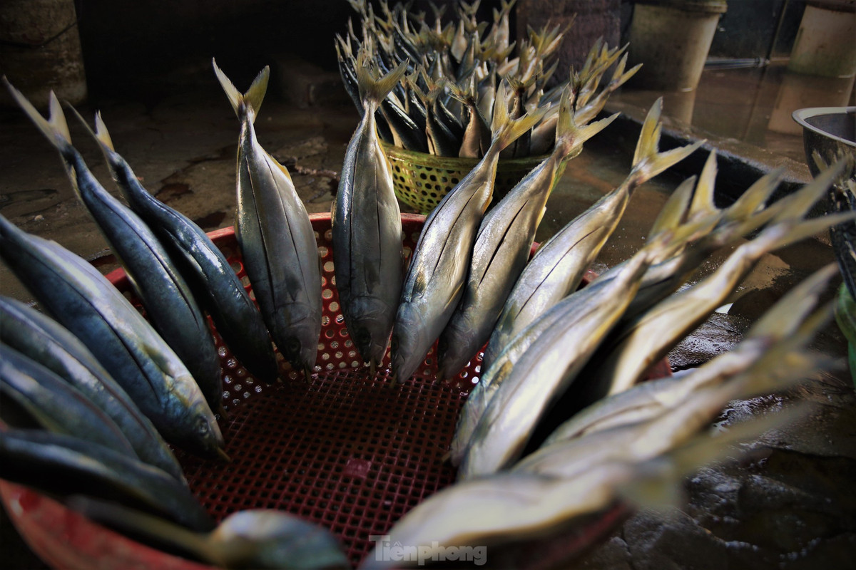 Tat bat lang nuong ca o vung bien Ha Tinh dip giap Tet-Hinh-6