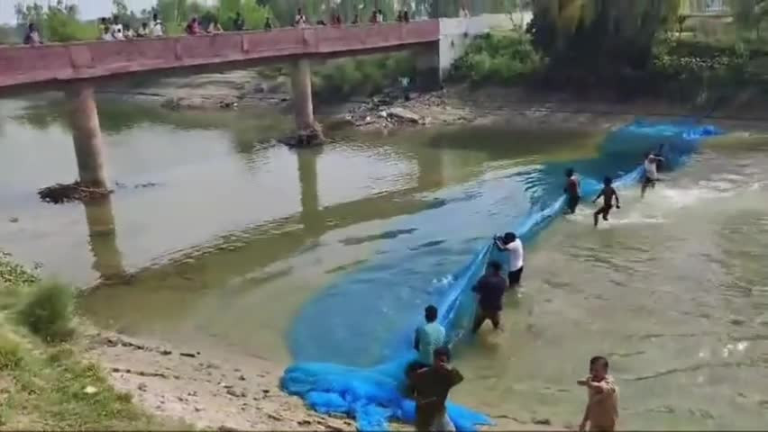 Cá heo mắc cạn được giải cứu thành công Ca heo mac can duoc giai cuu thanh cong