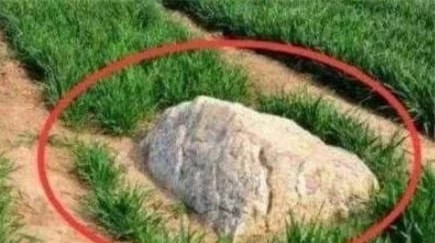 Ngọn núi nhỏ nhất thế giới, chỉ 0,6m nhưng không ai dám leo - Hình 2 Ngon nui nho nhat the gioi, chi 0,6m nhung khong ai dam leo-Hinh-2