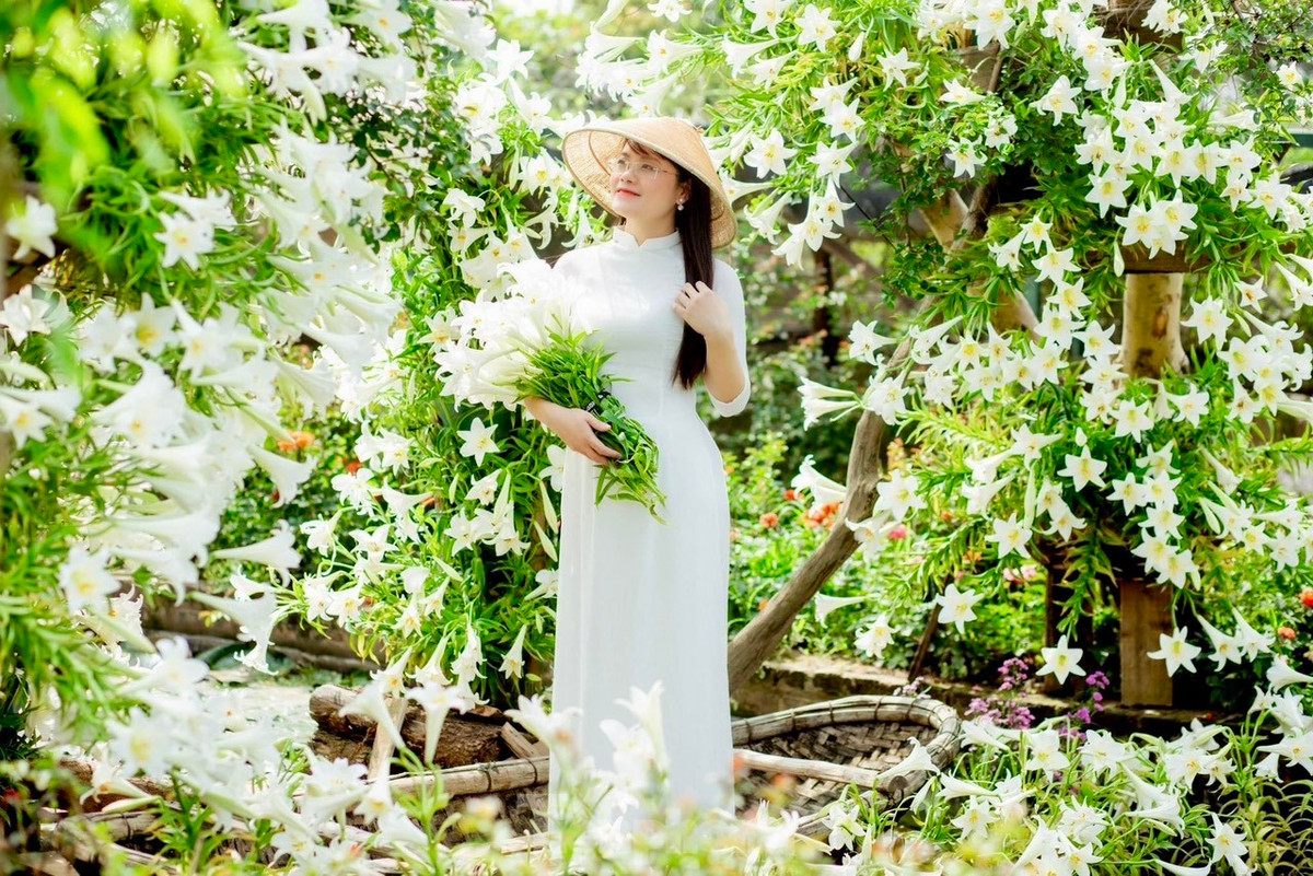 Hoa loa kèn tỏa mùi hương nhẹ nhàng, mang đến cho mọi người cảm giác khoan khoái, dễ chịu.