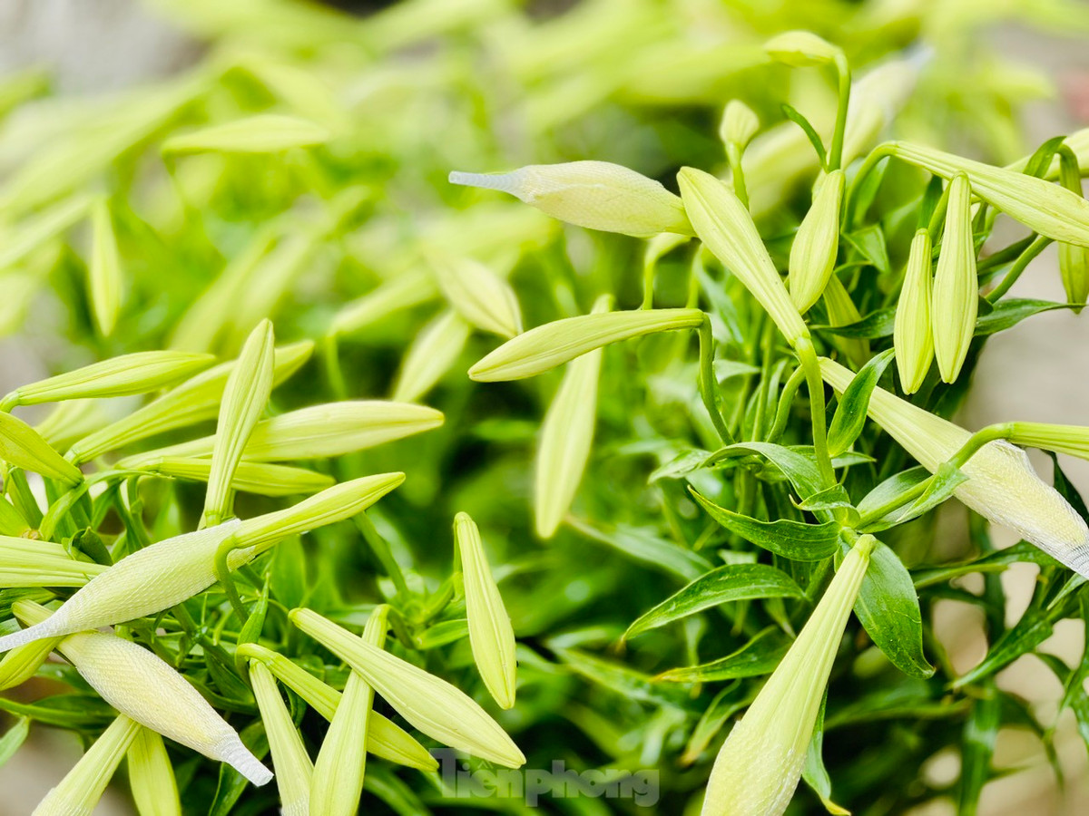 Đường phố Hà Nội những ngày này được tô điểm thêm vẻ đẹp nhẹ nhàng với màu trắng tinh khôi của hoa loa kèn. Những gánh hàng hoa nơi góc phố như gọi tháng Tư về.