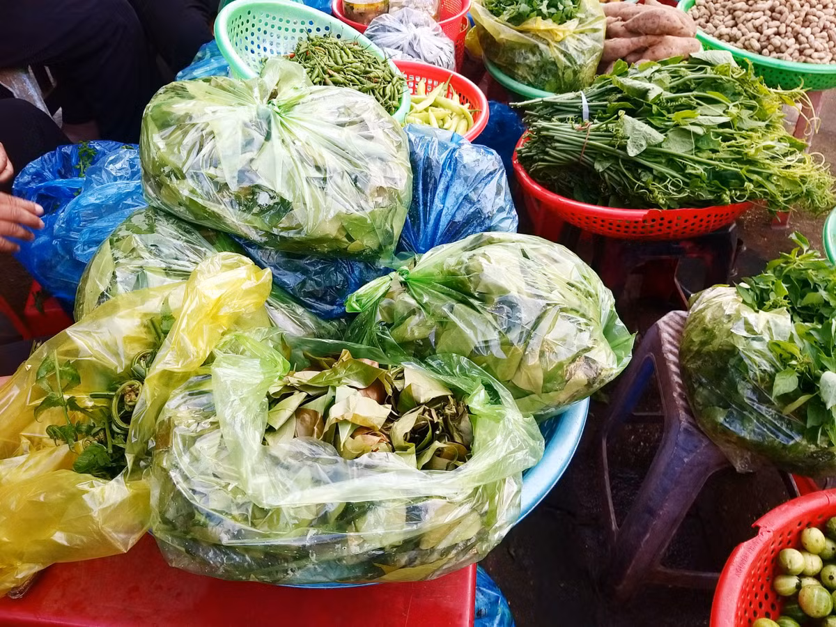 Dak Lak co rau dai moc hoang o rung, nay la rau dac san