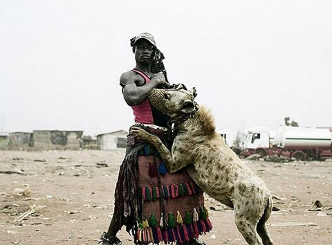 Tuy nhiên, một số người ở đây cũng cư xử tệ với những con linh cẩu. Có khi chúng bị bỏ đói, đánh đập thậm chí là bị giết!