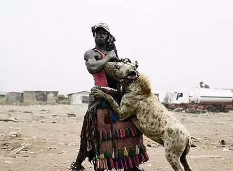 Tuy nhiên, một số người ở đây cũng cư xử tệ với những con linh cẩu. Có khi chúng bị bỏ đói, đánh đập thậm chí là bị giết!