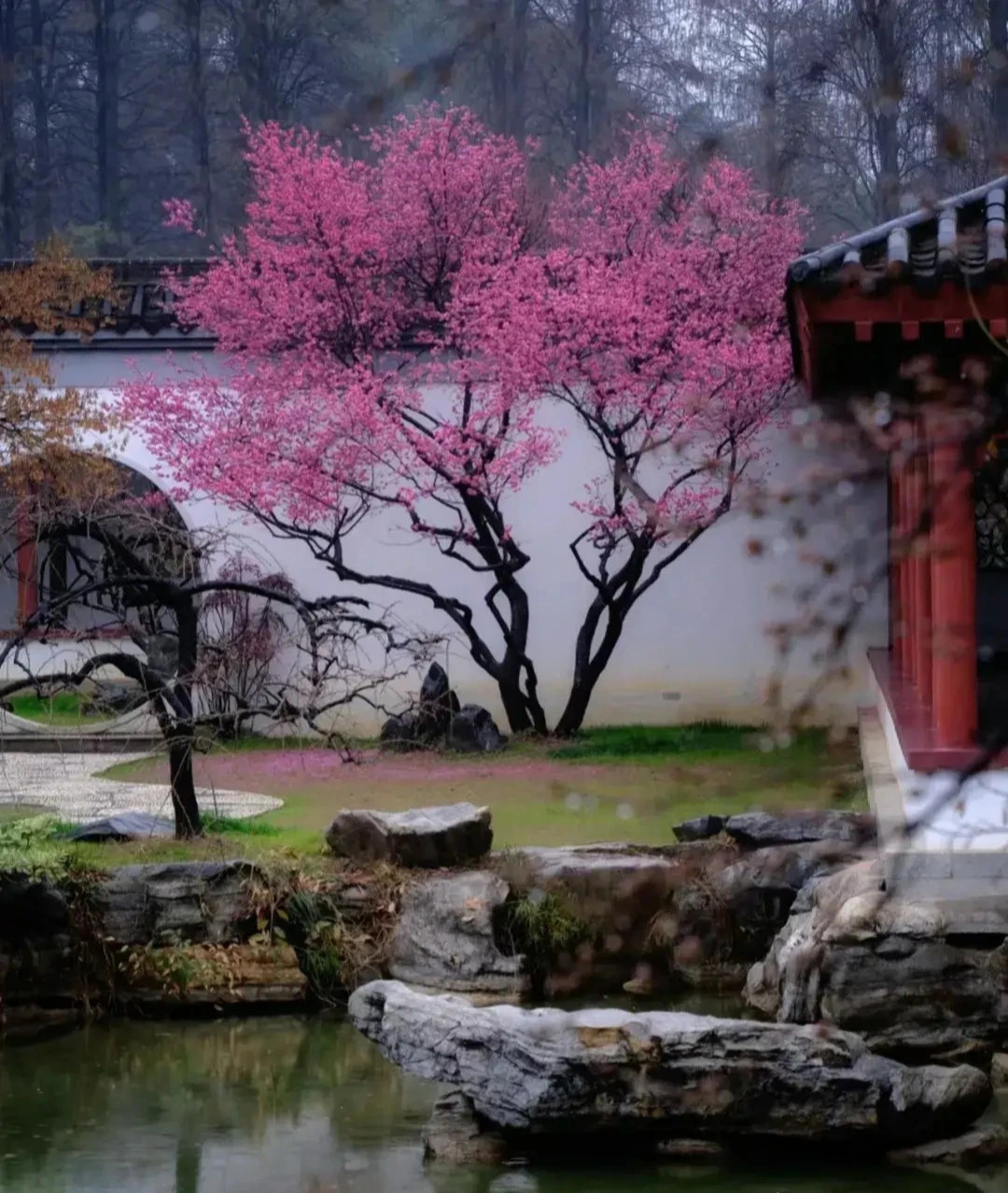 Năm phước lành trên có thể nói bao hàm mọi sự an khang thịnh vượng trong cuộc sống nên rất nhiều người xưa thích cây mai. Ngoài ra, hoa mai nở vào mùa đông lạnh giá, không cạnh tranh với các loài hoa khác, nở trong thời tiết se lạnh và kiêu hãnh về tuyết nên còn được mệnh danh là một trong tứ đại hoa.