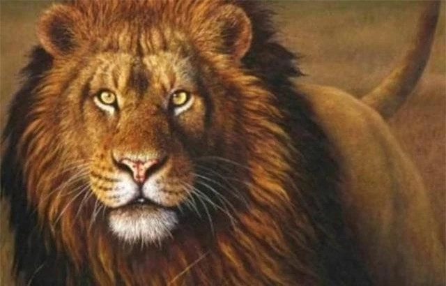 Tai sao su tu chet trong tu nhien khong thay xac cua chung?-Hinh-2