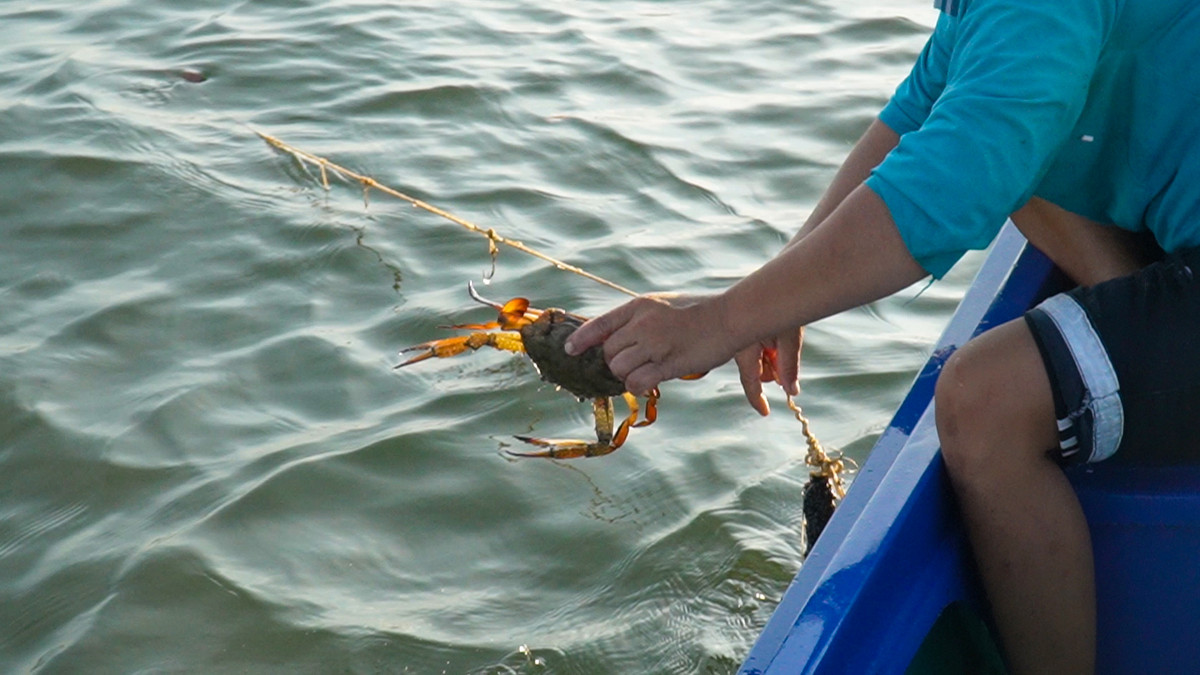 Cau kieu khong moi van bat duoc ca, nong dan thu tien trieu/ngay-Hinh-9