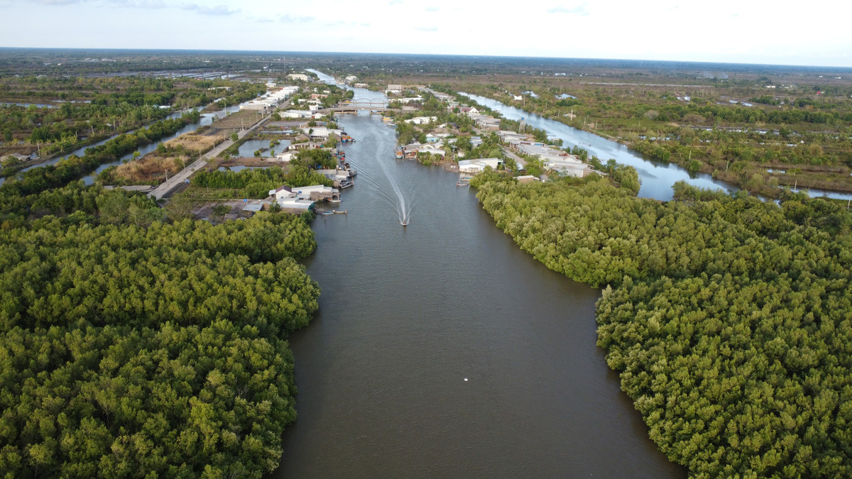 Cau kieu khong moi van bat duoc ca, nong dan thu tien trieu/ngay-Hinh-5
