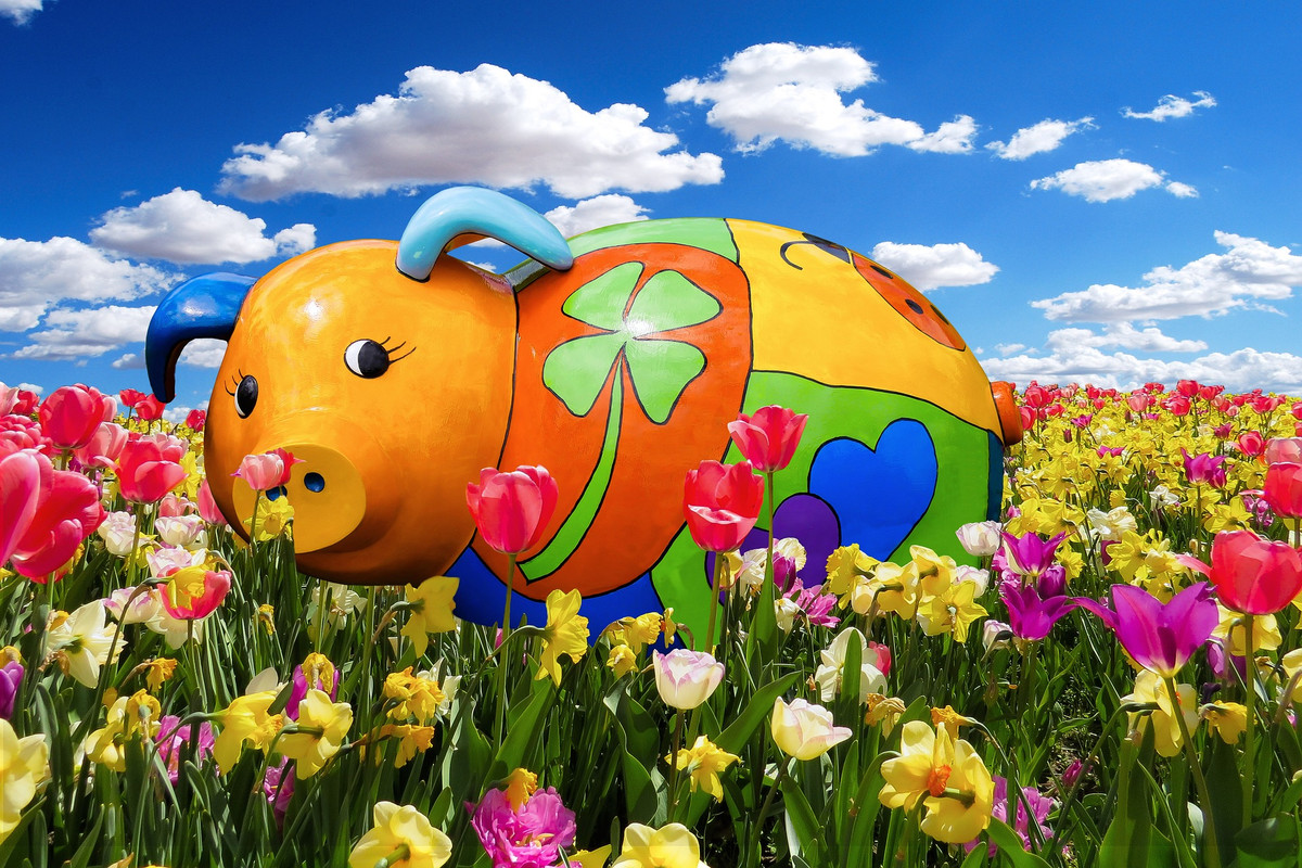 4 con giap san sang don may man trong nam moi-Hinh-4