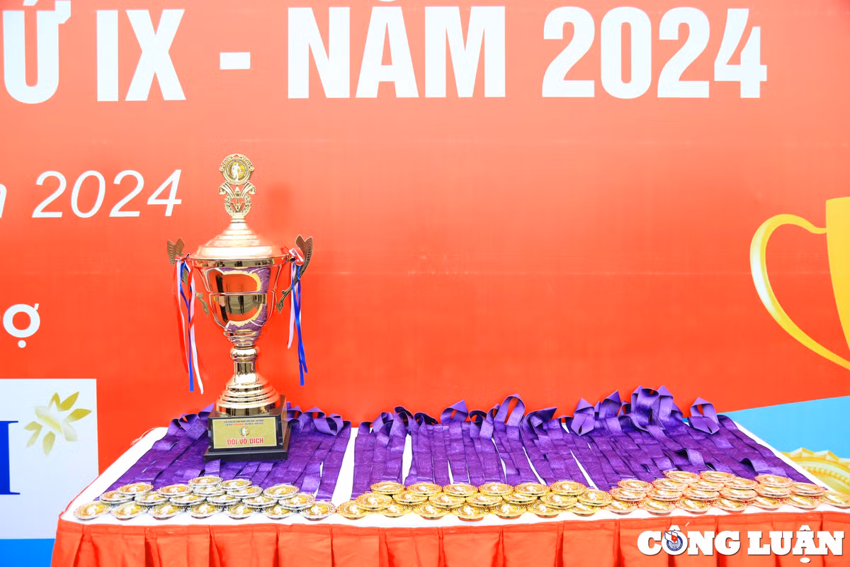 Soi dong Giai bong da Cup Bao Lao dong Thu do lan thu IX-Hinh-3