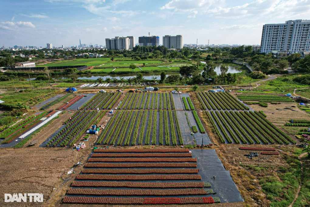 Nhung ngay cuoi nam bat thuong o lang hoa lon nhat TPHCM